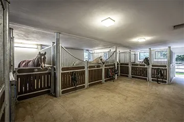 Stallungen