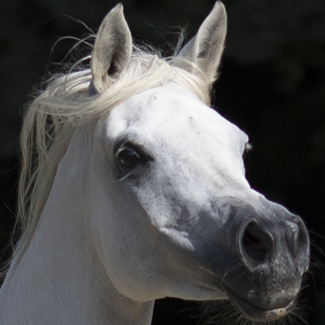 Free Website Template by FreeHTML5.co