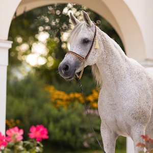 Free Website Template by FreeHTML5.co